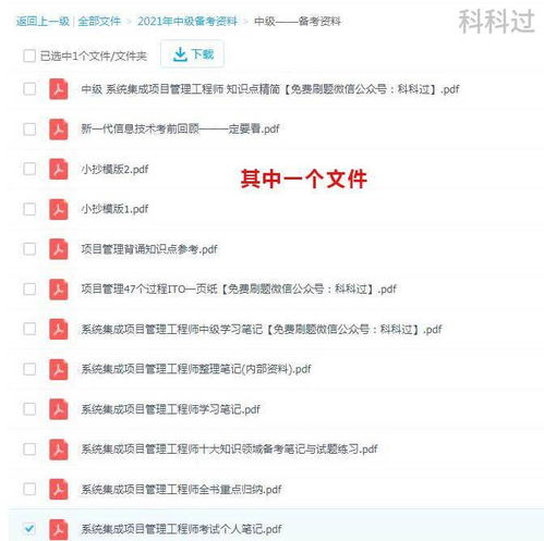 系統(tǒng)集成項(xiàng)目管理工程師（2021年核心資料與備考攻略）